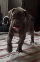 processed/6f7d42cb-eb3c-4731-a44a-65949bc024aa/listing/a90c6f35-123b-4f28-8da9-2b00771b0e97/1757ecc3-653b-464b-bc5a-4e433aac5094