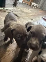 processed/6f7d42cb-eb3c-4731-a44a-65949bc024aa/listing/a90c6f35-123b-4f28-8da9-2b00771b0e97/6ec868ee-e2df-4b70-96b4-1771d05a1f19