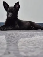 processed/6f81f9e4-1b62-4614-8966-5a24c7c8c0dc/listing/6ec105c5-60e8-4b29-a2ae-5281be4b5d4e/043337c7-78ce-4acb-8e9e-f1a3532dcada