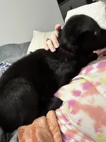 processed/6f81f9e4-1b62-4614-8966-5a24c7c8c0dc/listing/6ec105c5-60e8-4b29-a2ae-5281be4b5d4e/0f155912-274e-4c3d-afe3-24272fa47f58