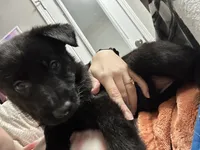 processed/6f81f9e4-1b62-4614-8966-5a24c7c8c0dc/listing/6ec105c5-60e8-4b29-a2ae-5281be4b5d4e/719f595f-8597-4240-87d3-69066428fc5c