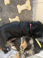 processed/6f81f9e4-1b62-4614-8966-5a24c7c8c0dc/listing/6ec105c5-60e8-4b29-a2ae-5281be4b5d4e/9c60602e-9e83-46da-829e-3bb8bfb34823