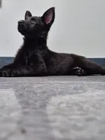 processed/6f81f9e4-1b62-4614-8966-5a24c7c8c0dc/listing/6ec105c5-60e8-4b29-a2ae-5281be4b5d4e/9f714117-662d-4112-9b99-046ee9a2b314