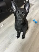 processed/6f81f9e4-1b62-4614-8966-5a24c7c8c0dc/listing/6ec105c5-60e8-4b29-a2ae-5281be4b5d4e/cec5b15f-bbe6-4800-b4f8-f92b574f97c7