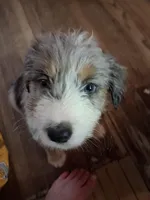 processed/6f8902af-6ddf-4ae3-a120-b3ffd525dd72/facility/175e5a03-c6c7-4de9-b45e-50e50b8e8c65