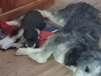 processed/6f8902af-6ddf-4ae3-a120-b3ffd525dd72/facility/1aacb961-54e1-4870-968b-c604a4508b78