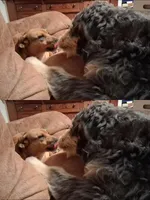 processed/6f8902af-6ddf-4ae3-a120-b3ffd525dd72/facility/84478c90-458d-43d9-9224-771c25323a40