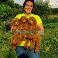 processed/6f8b77ca-c2e2-4585-822d-97bd822ffa7a/facility/2f943036-25e4-4fa0-aed2-23962df0c26b