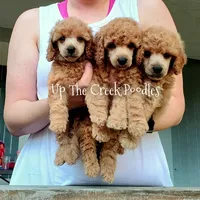 processed/6f8b77ca-c2e2-4585-822d-97bd822ffa7a/facility/313e93a8-4b8f-4649-9e5b-2b7c83d404f4