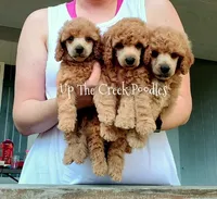 processed/6f8b77ca-c2e2-4585-822d-97bd822ffa7a/facility/313e93a8-4b8f-4649-9e5b-2b7c83d404f4