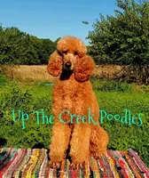 processed/6f8b77ca-c2e2-4585-822d-97bd822ffa7a/facility/4a51f8da-904f-4cac-9b50-7a49dd0d9904