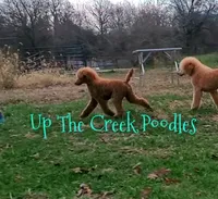 processed/6f8b77ca-c2e2-4585-822d-97bd822ffa7a/facility/7893304f-1b3e-40ab-906a-0aea2aeac78e