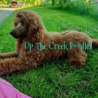 processed/6f8b77ca-c2e2-4585-822d-97bd822ffa7a/facility/b4d7e010-a738-4dee-b33c-4a1d486e1f28