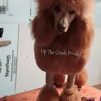 processed/6f8b77ca-c2e2-4585-822d-97bd822ffa7a/facility/d6c0b036-0d1e-4530-a3e9-8c683cdedd98