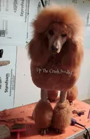 processed/6f8b77ca-c2e2-4585-822d-97bd822ffa7a/facility/d6c0b036-0d1e-4530-a3e9-8c683cdedd98