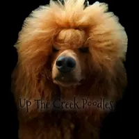 processed/6f8b77ca-c2e2-4585-822d-97bd822ffa7a/facility/e7d4f82f-8897-4382-8d18-03c493d2799c