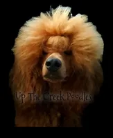 processed/6f8b77ca-c2e2-4585-822d-97bd822ffa7a/facility/e7d4f82f-8897-4382-8d18-03c493d2799c