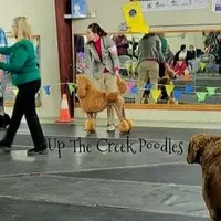 processed/6f8b77ca-c2e2-4585-822d-97bd822ffa7a/facility/f72664f4-d9c3-4f32-aff6-891b5c6c4892