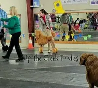 processed/6f8b77ca-c2e2-4585-822d-97bd822ffa7a/facility/f72664f4-d9c3-4f32-aff6-891b5c6c4892