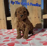 processed/6f8b77ca-c2e2-4585-822d-97bd822ffa7a/listing/367d6aa0-4912-4e0d-9cf9-b172358f8b17/2c278f65-194b-41d4-87ee-cea56b86e1da