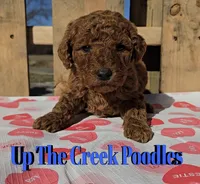 processed/6f8b77ca-c2e2-4585-822d-97bd822ffa7a/listing/367d6aa0-4912-4e0d-9cf9-b172358f8b17/2c36dda7-a089-45a5-bb14-e3c64d19822a