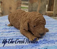 processed/6f8b77ca-c2e2-4585-822d-97bd822ffa7a/listing/367d6aa0-4912-4e0d-9cf9-b172358f8b17/784fec71-2605-4e22-86dd-e9945a65c448