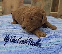 processed/6f8b77ca-c2e2-4585-822d-97bd822ffa7a/listing/367d6aa0-4912-4e0d-9cf9-b172358f8b17/943791e1-837f-40fc-a6be-298b1c30badf