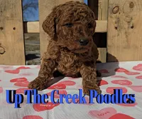 processed/6f8b77ca-c2e2-4585-822d-97bd822ffa7a/listing/367d6aa0-4912-4e0d-9cf9-b172358f8b17/e7f24ee7-76bf-43ec-8c98-186724c55344