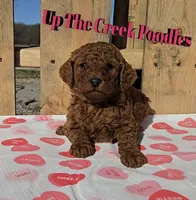 processed/6f8b77ca-c2e2-4585-822d-97bd822ffa7a/listing/7c416413-b234-4184-b81c-1c7dd410e53e/2b62acfc-4643-482a-89e5-373e37bd47a5