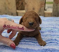 processed/6f8b77ca-c2e2-4585-822d-97bd822ffa7a/listing/7c416413-b234-4184-b81c-1c7dd410e53e/76139bab-2b97-4cd5-86fc-7af576c49931