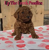 processed/6f8b77ca-c2e2-4585-822d-97bd822ffa7a/listing/7c416413-b234-4184-b81c-1c7dd410e53e/e1b88b88-7b37-4d77-b1f2-575b423ca22d