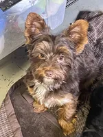 processed/6f938a44-cc12-4d64-b432-0ac523b059cc/facility/16c1f26e-e39b-4405-8997-9d8a7bebf3be