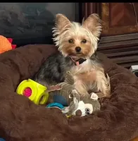 processed/6f938a44-cc12-4d64-b432-0ac523b059cc/facility/36f94945-52f2-4c57-b62a-97e5af6bdb46