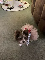 processed/6f938a44-cc12-4d64-b432-0ac523b059cc/facility/435c2782-6387-4192-b0ff-964b46397bd4