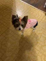 processed/6f938a44-cc12-4d64-b432-0ac523b059cc/facility/5804cdcd-5390-457a-ba9c-3c920c00b368