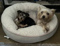 processed/6f938a44-cc12-4d64-b432-0ac523b059cc/facility/a0e33273-3a3e-438b-8de4-17a8b024db42