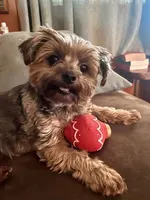 processed/6f938a44-cc12-4d64-b432-0ac523b059cc/facility/b4860c68-5a01-4ae8-9ad7-769d245a7de5