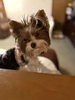 processed/6f938a44-cc12-4d64-b432-0ac523b059cc/facility/f0303277-858d-4a00-900d-6e40e7c314cc