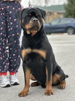 processed/6f976a1b-1247-49dc-ba28-6bb0853e9b40/listing/14924a3a-7b09-4b43-b1e5-65d7d6e40521/6eab21c3-7dad-465a-9c66-153a69c26e47