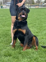 processed/6f976a1b-1247-49dc-ba28-6bb0853e9b40/listing/ce1607c5-e88d-4400-9cd8-458f0d2c0dcf/1b322b11-aba4-454c-88d9-2f77dc1f0b90