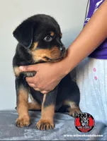 processed/6f976a1b-1247-49dc-ba28-6bb0853e9b40/listing/ce1607c5-e88d-4400-9cd8-458f0d2c0dcf/d3c78041-e77b-4643-a2f6-be1c7aa74dce