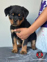 processed/6f976a1b-1247-49dc-ba28-6bb0853e9b40/listing/ce1607c5-e88d-4400-9cd8-458f0d2c0dcf/e5f292ff-35b5-458c-9434-546a9fb4b4a0