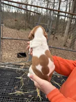 processed/6faf282c-31ca-4dcf-921f-73e569d950d6/listing/1b00d56b-d82e-4884-8064-e1f44aa06f4c/647a76de-cfbe-4a93-8974-a91561ec5516