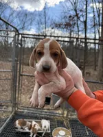 processed/6faf282c-31ca-4dcf-921f-73e569d950d6/listing/2d927441-7d5d-4962-b1c1-70fb61e70d6c/788d61eb-3577-44b4-849c-bed1520613a1