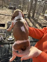 processed/6faf282c-31ca-4dcf-921f-73e569d950d6/listing/4c2966f8-c59f-40d0-8710-424890335da3/f07ee23e-e69c-4fd9-9e70-d781b888dae0