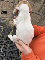 processed/6faf282c-31ca-4dcf-921f-73e569d950d6/listing/7a8964cb-9995-423c-b06e-a0e526cf81d5/996b3de3-1878-46b1-9d98-0e87e6130814