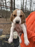 processed/6faf282c-31ca-4dcf-921f-73e569d950d6/listing/7a8964cb-9995-423c-b06e-a0e526cf81d5/da124619-39c4-49d3-9cda-811511ecb8f1