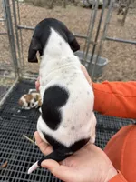 processed/6faf282c-31ca-4dcf-921f-73e569d950d6/listing/be3a0bb4-0e4a-43d2-90f8-9cb6c254f576/2653feba-be93-4233-b898-aced425579c3