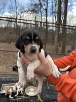 processed/6faf282c-31ca-4dcf-921f-73e569d950d6/listing/be3a0bb4-0e4a-43d2-90f8-9cb6c254f576/38f551be-ec89-4418-a6f1-c6614b50c56a