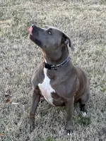 processed/6fb0db9a-c3dc-43bb-9dd1-936c638c1c9c/listing/4818213d-7c44-45c2-a345-49488bbca5a3/041f5e5f-8170-475c-a7d6-9602f07d4fce